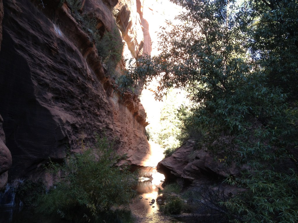 Pain. Then A Dream. And At Last, A&nbsp;Reunion.