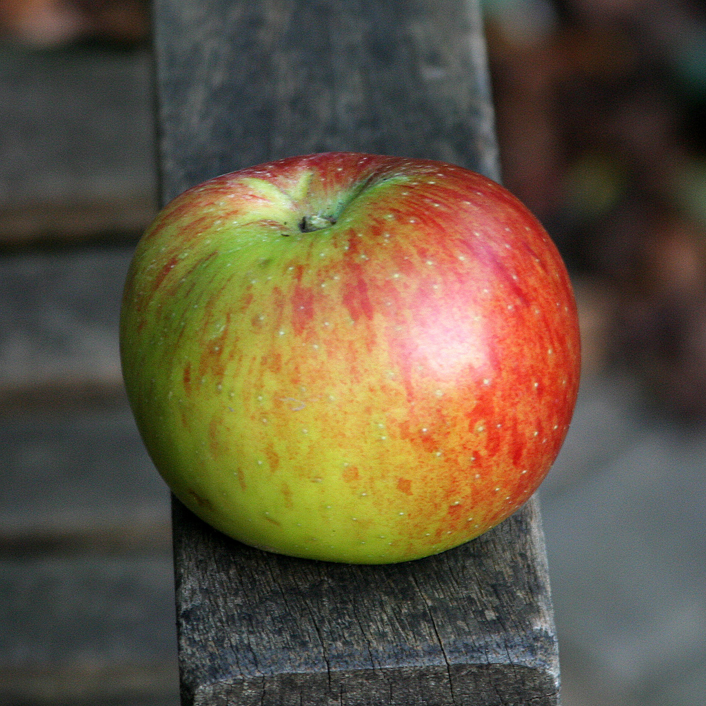 Two Reasons Why God Answers Your&nbsp;Prayers