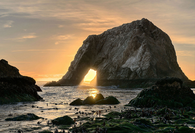 Steady, Resolute, Purposeful