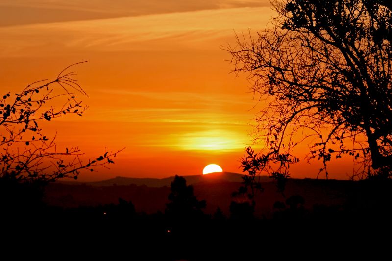 New Year’s, Blogs and Star&nbsp;Wars