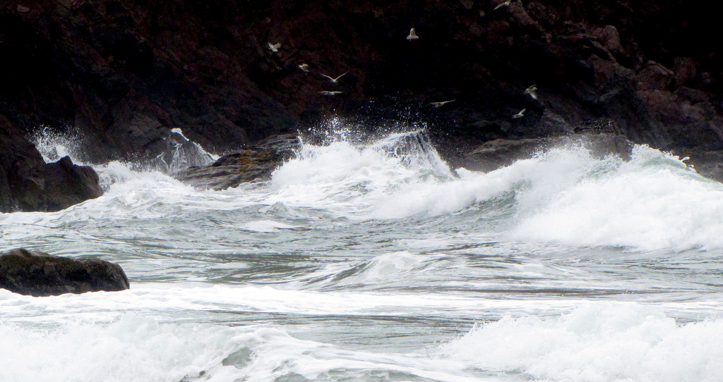 Who Is Your&nbsp;Go-To?